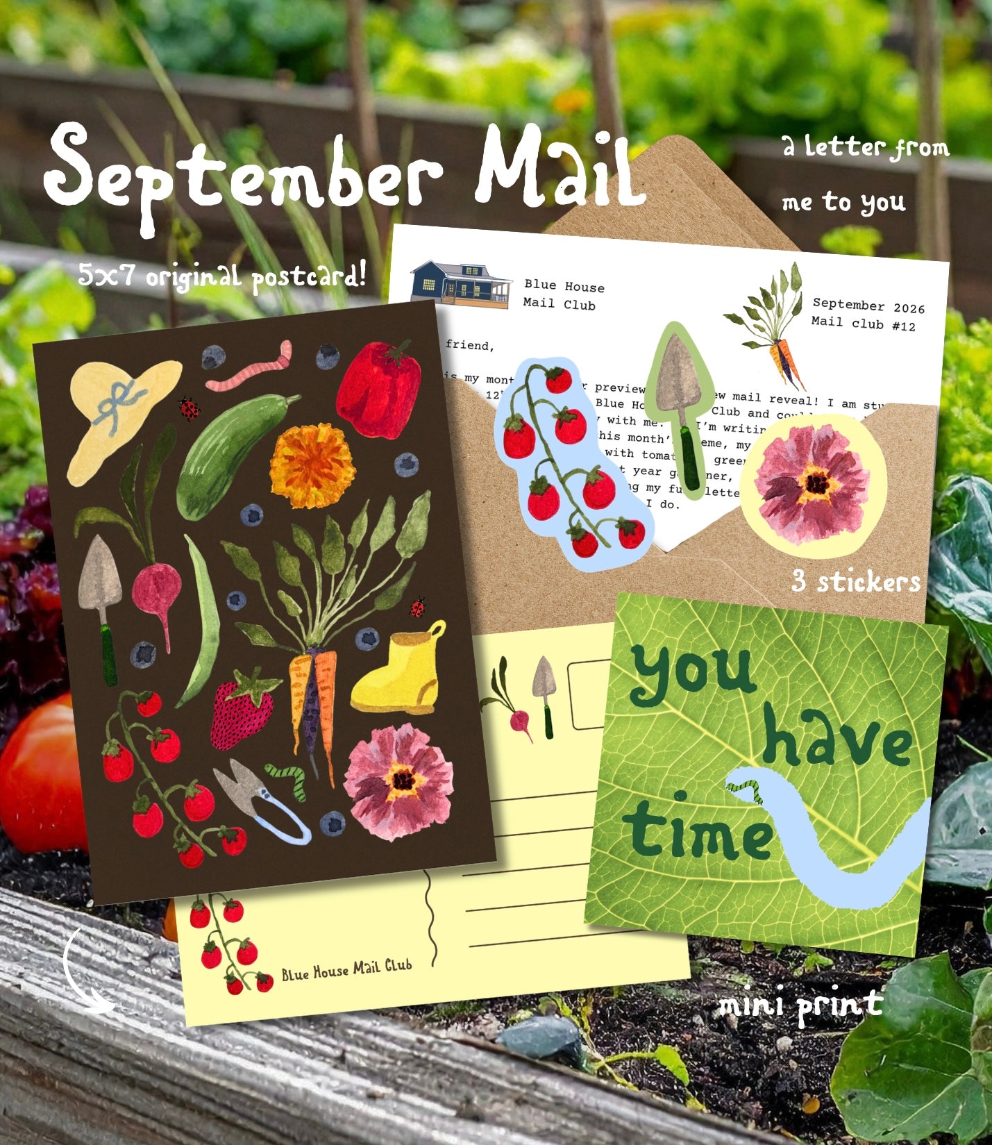 Monthly Snail Mail Domestic (US)