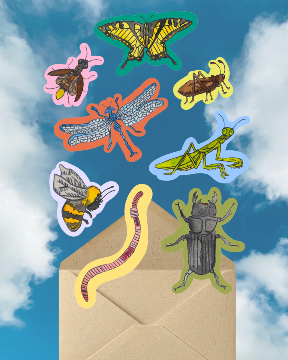 Bag of Bugs! Sticker Pack